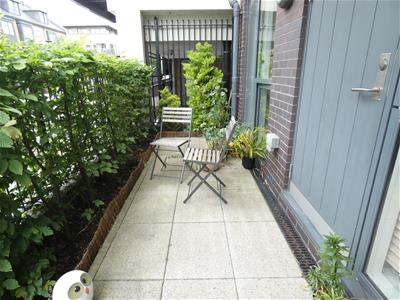 Picture 8